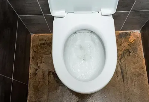 Desentupidora de Vaso Sanitário Urgente em Campo Limpo Paulista